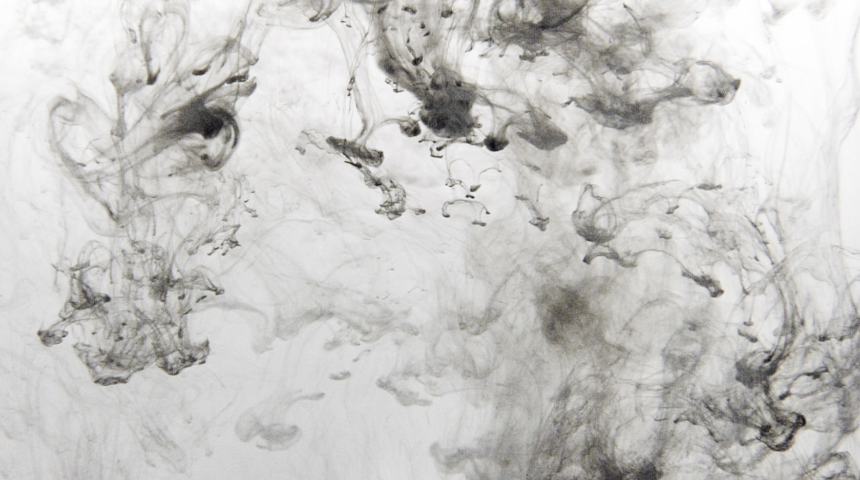 water mixed with ink in black and white in video live visuals by Claudia Hansen