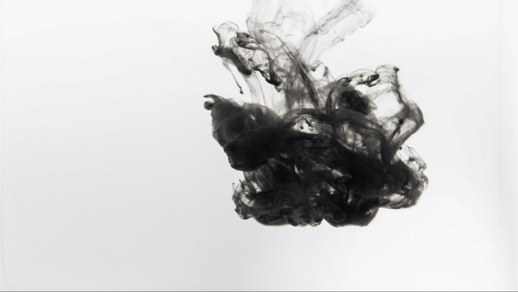 dark ink  spot in live visuals with water in black and white by Claudia Hansen