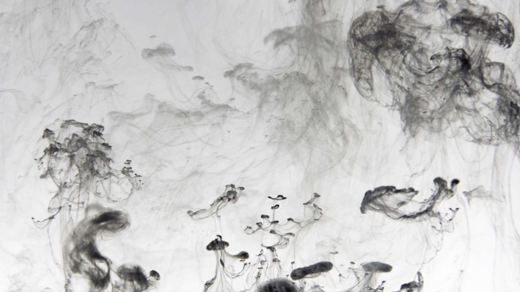 water with ink in black and white by Claudia Hansen from video live visuals