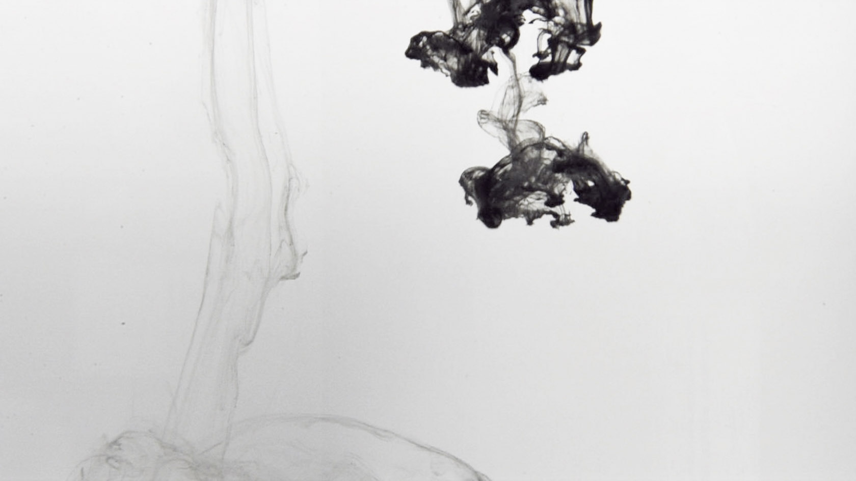 the different states of  ink in water in black and white by Claudia Hansen