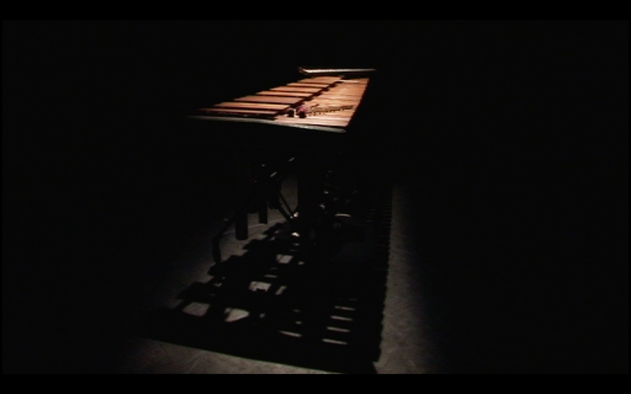 marimba with shadow on the stage of the Shawn And The Zebra Music Theater performance Depending
