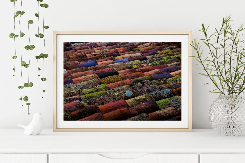 Fine Art Photography Print 