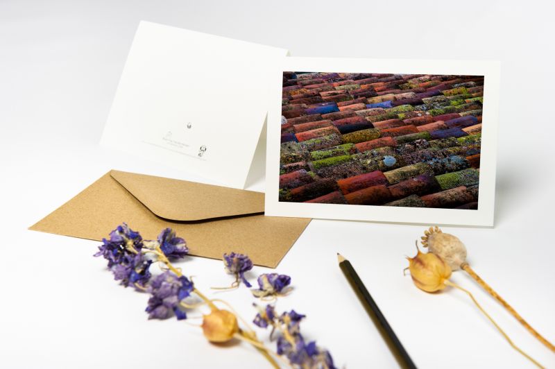 Folded Greeting Card Set 