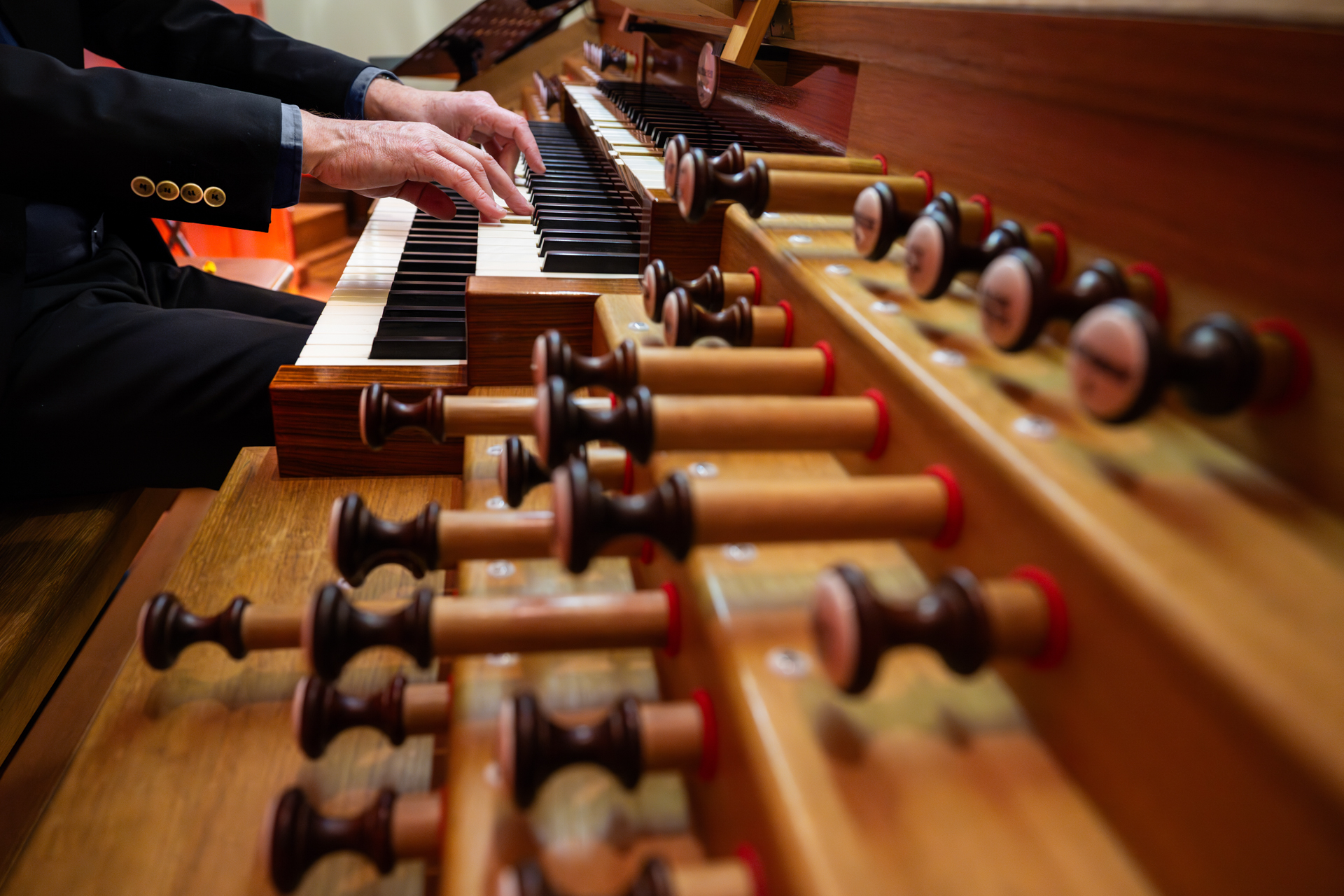 B - Organ
