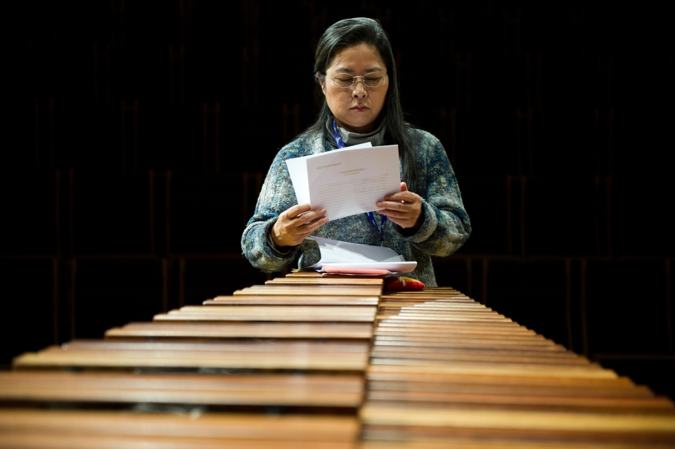 E - International Percussion Competition Luxembourg 2015