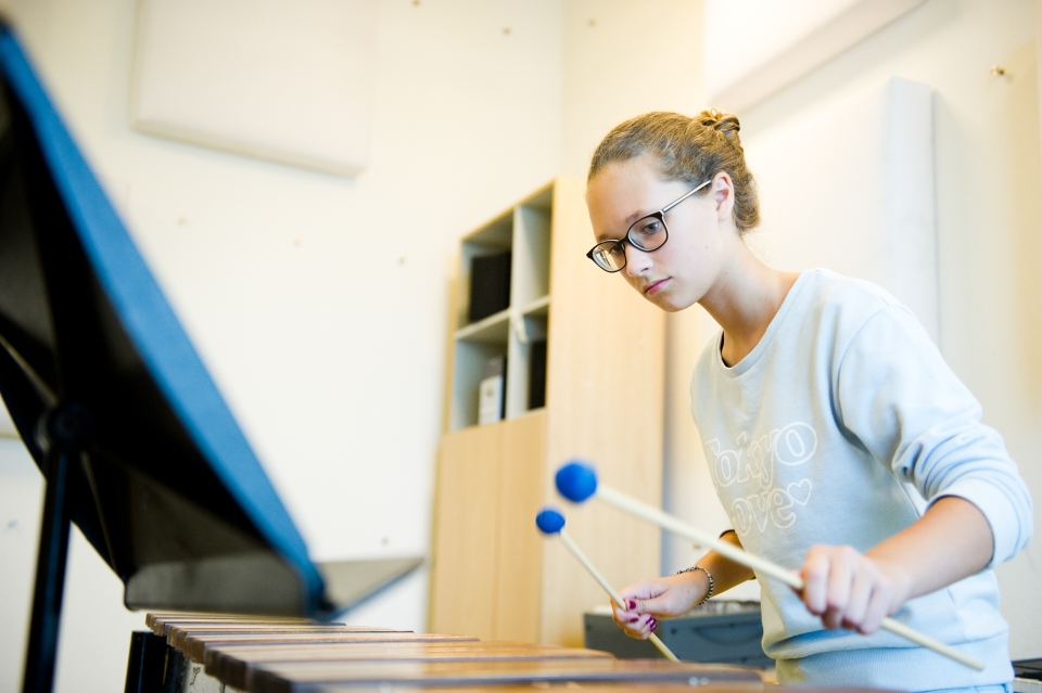 E - Percussion Friends Chamber Music Academy 2015