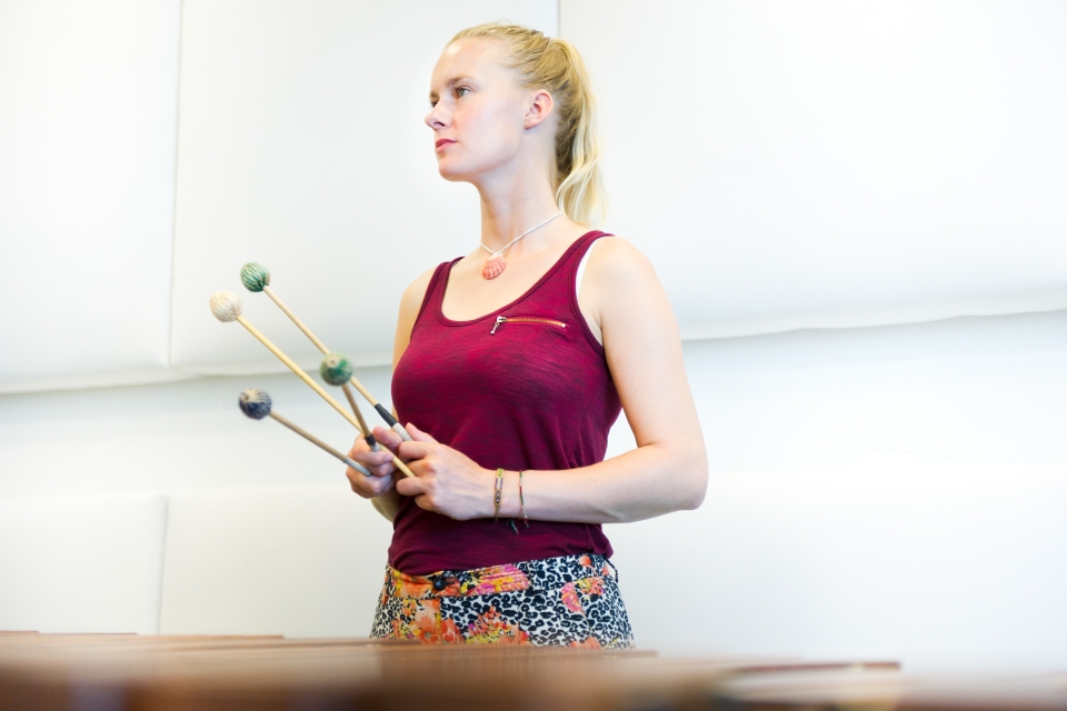 E - Percussion Friends Chamber Music Academy 2016