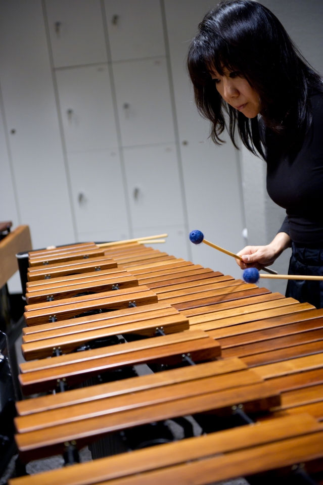 E - Tromp Percussion Eindhoven 2010