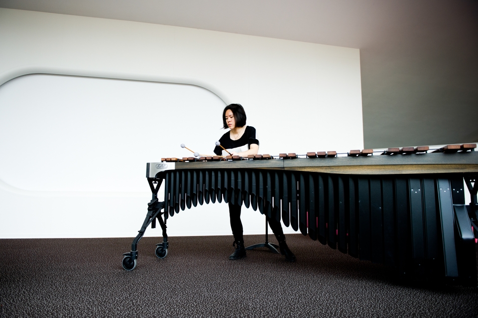 E - Tromp Percussion Eindhoven 2014