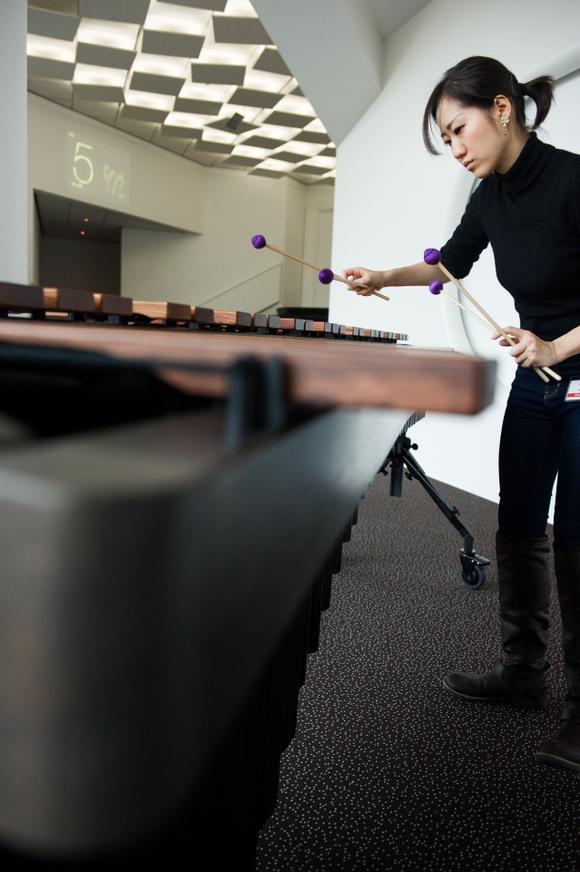 E - Tromp Percussion Eindhoven 2016