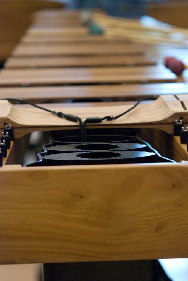 E - Zeltsman Marimba Festival 2009