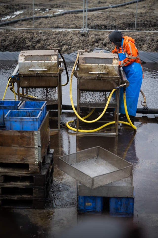F - Provincie Flevoland - Bezoek Raad voor Cultuur