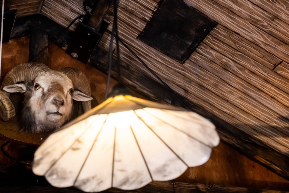 F - Provincie Flevoland - Bezoek Raad voor Cultuur