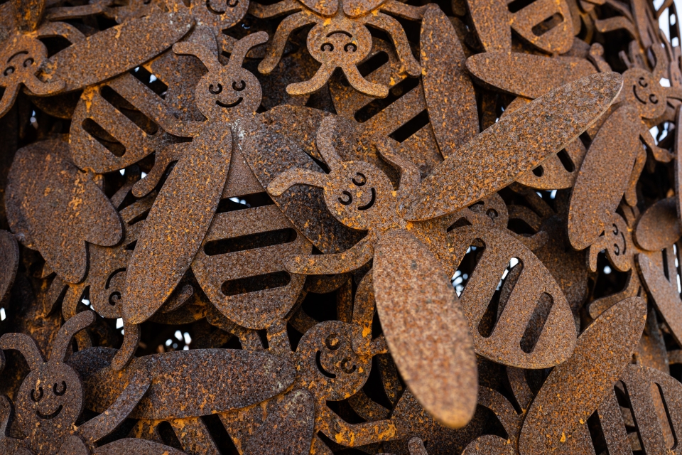 F - Provincie Flevoland - Bezoek Raad voor Cultuur