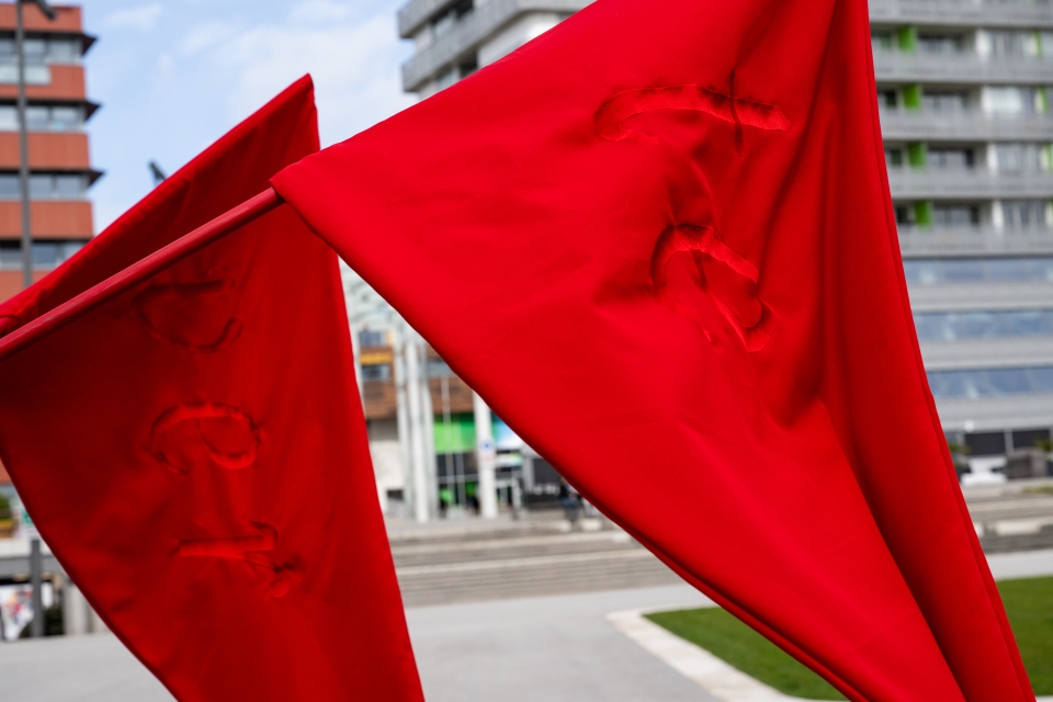 F - Provincie Flevoland - Bezoek Raad voor Cultuur