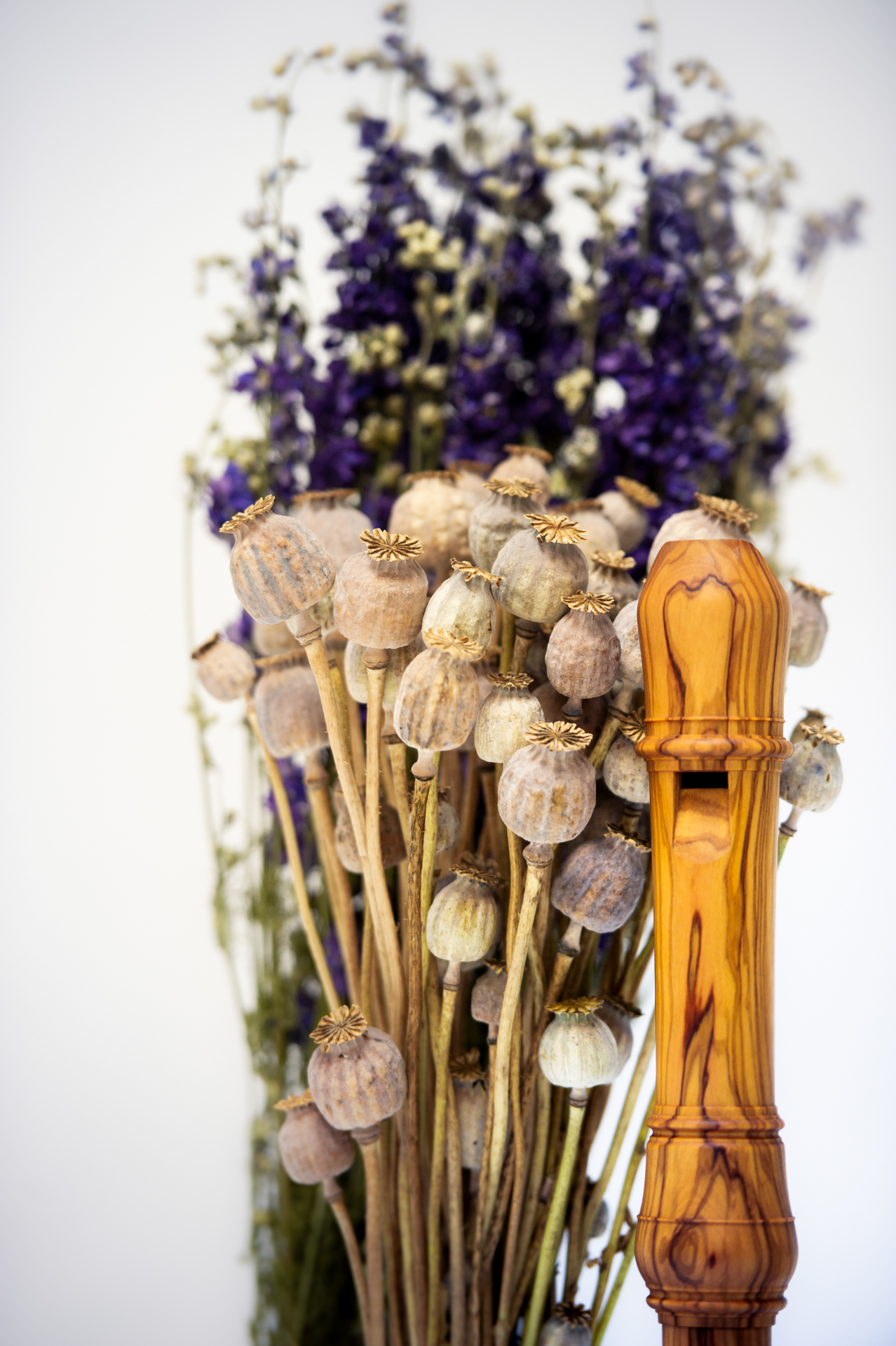 C - Recorder and Flowers